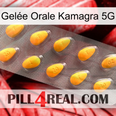 Gelée Orale Kamagra 5G cialis1